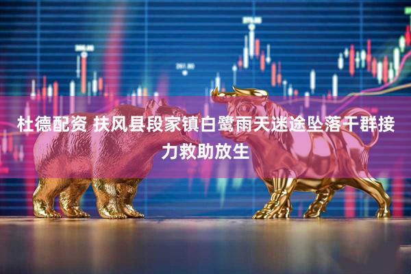 杜德配资 扶风县段家镇白鹭雨天迷途坠落干群接力救助放生