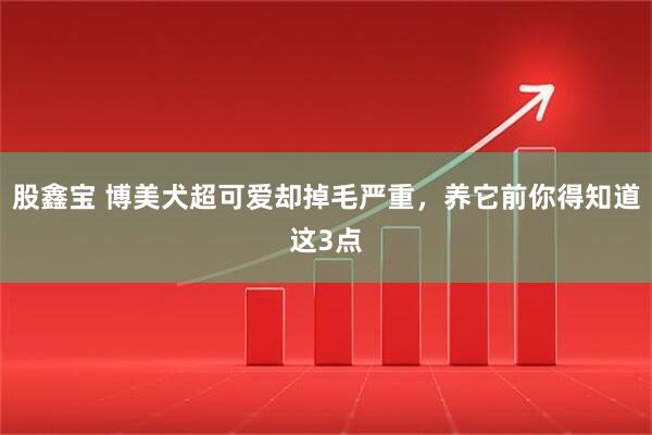 股鑫宝 博美犬超可爱却掉毛严重，养它前你得知道这3点