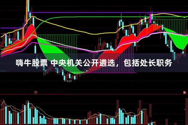 嗨牛股票 中央机关公开遴选，包括处长职务