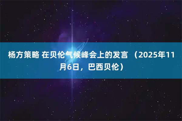 杨方策略 在贝伦气候峰会上的发言 （2025年11月6日，巴西贝伦）