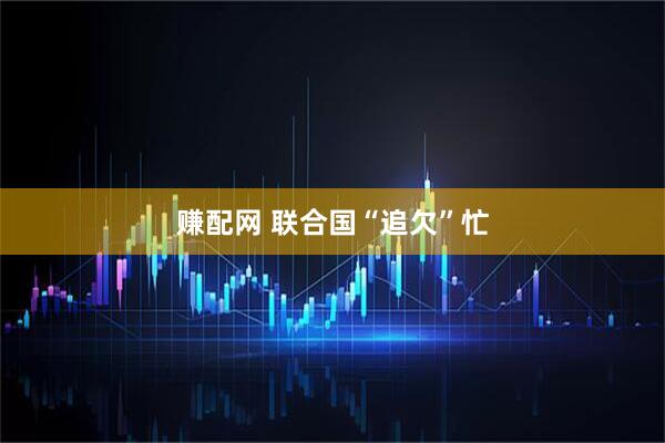 赚配网 联合国“追欠”忙